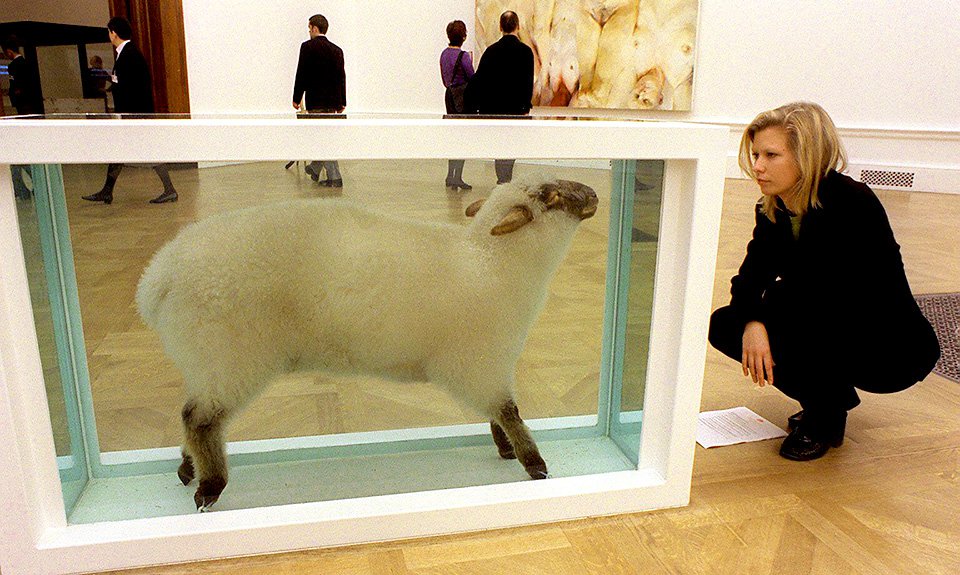 Работа Дэмиена Херста «Вдали от стада» на выставке «Sensation: Молодые британские художники из коллекции Саатчи». 1997. Фото: PA/Alamy/Legion Media