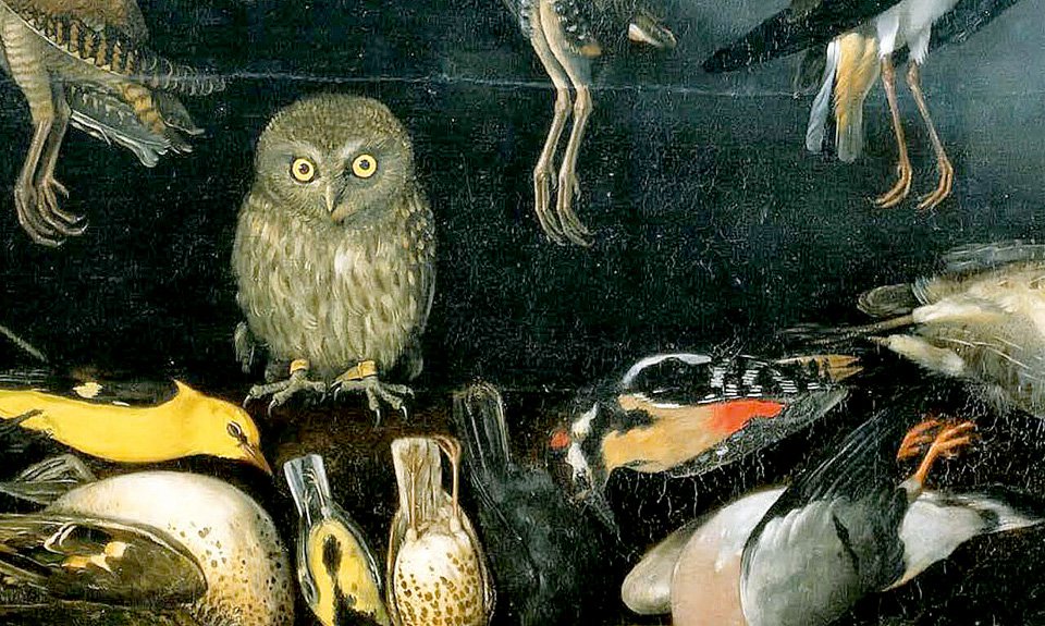 Мастер из Хартфорда. «Сова и битые птицы». Около 1605-1606. Фрагмент. Фото: Галерея Боргезе, Рим