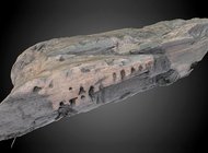 В слое торфа найден древнейший в Британии кусок резной древесины