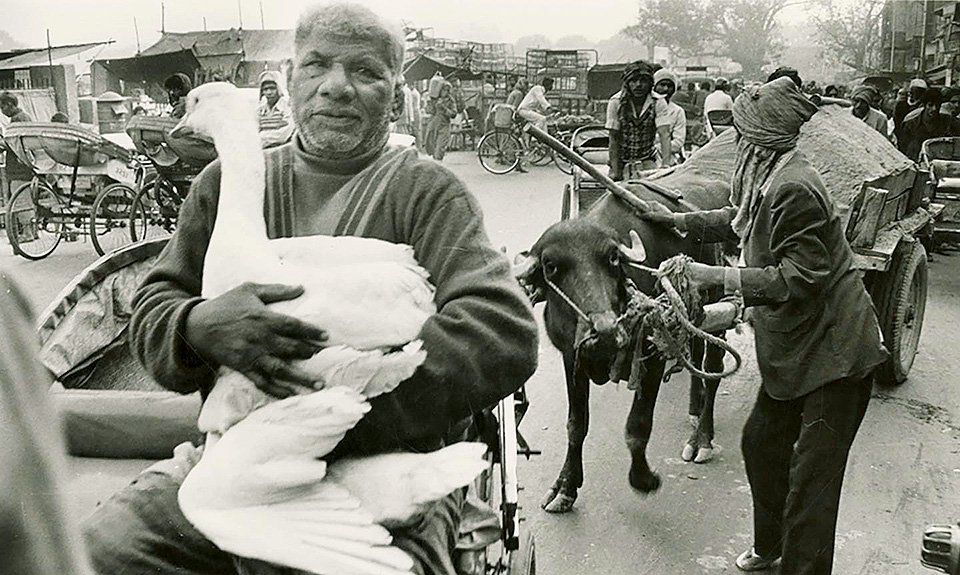 Рагху Рай. «Сцена на улице. Старый Дели».  1968. Нью-Дели, Индия. Фото: МАР