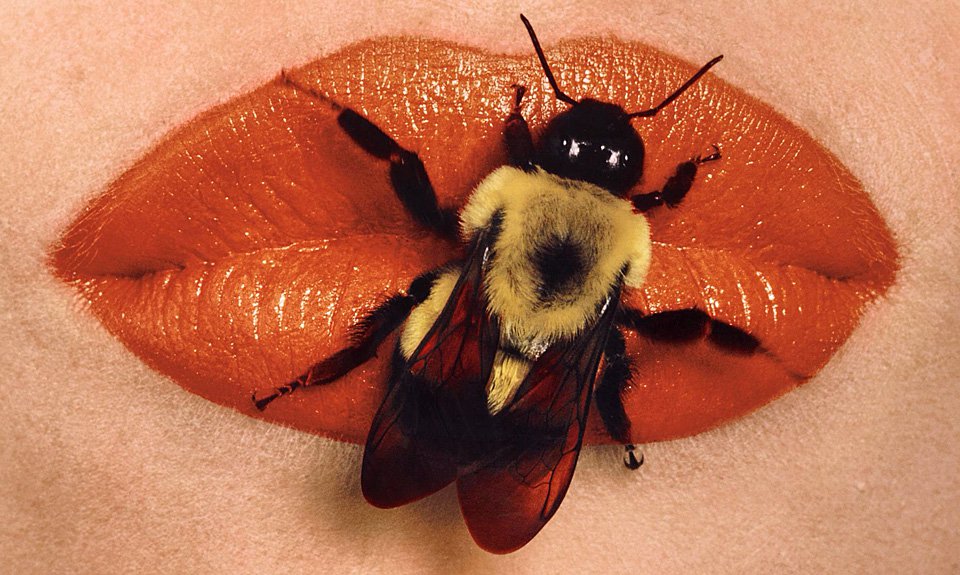 Ирвин Пенн. «Пчела на губах». 1995. Фото: Фонд Ruarts