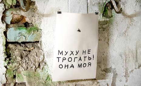 Пять московских самоорганизаций в искусстве