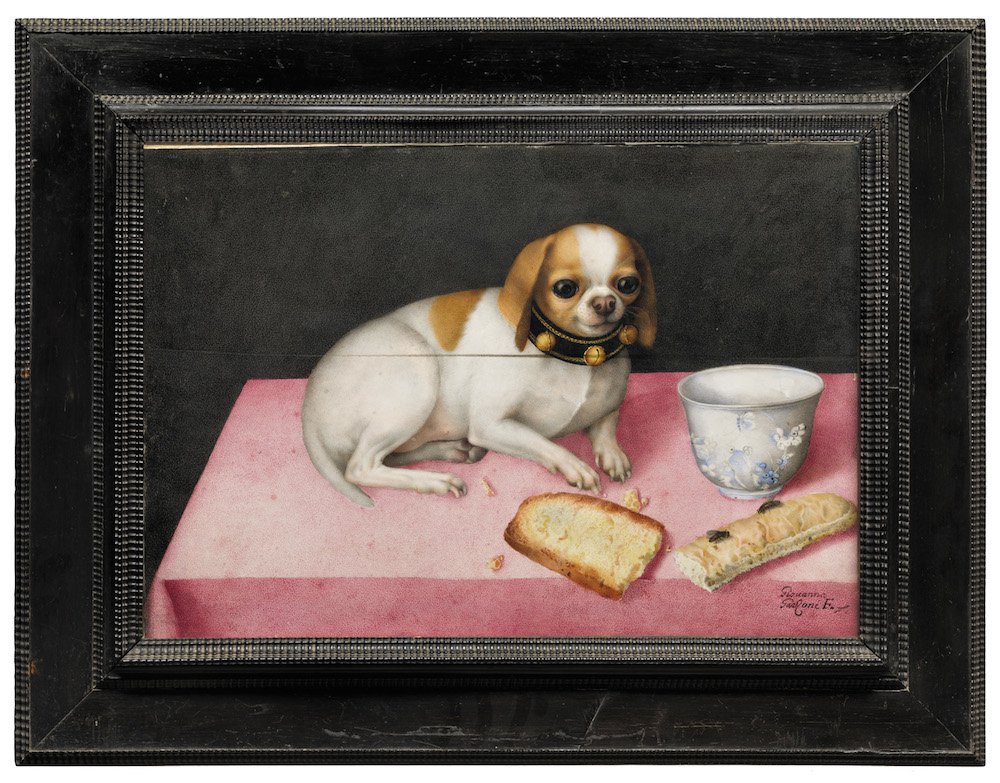 Джованна Гарцони (1600-1670). «Собачка и чашка». Фото: Le Gallerie degli Uffizi