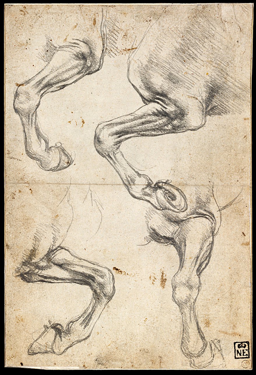 Леонардо да Винчи. Штудии ног лошади. Фото: Google_Art_Project