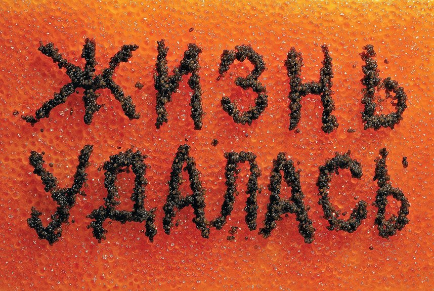 Андрей Логвин. Жизнь удалась. 1997