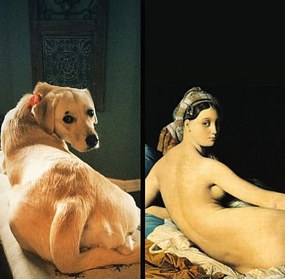«Большая одалиска» Жан Энгра. Фото: www.instagram.com/tussenkunstenquarantaine/