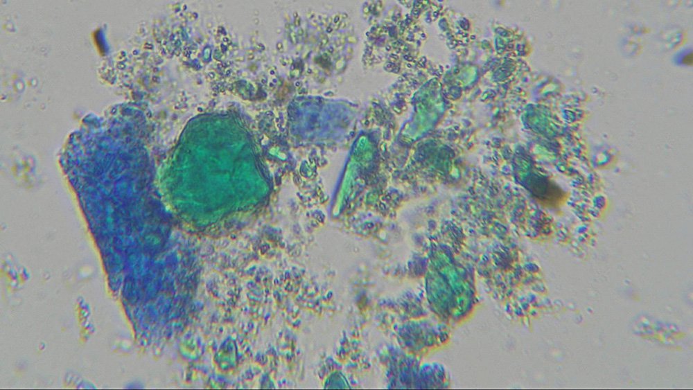 Пигменты. Изумрудная зеленая в смеси с синим кобальтом. Изображение, полученное с помощью поляризационного микроскопа. Фото: ГосНИИР