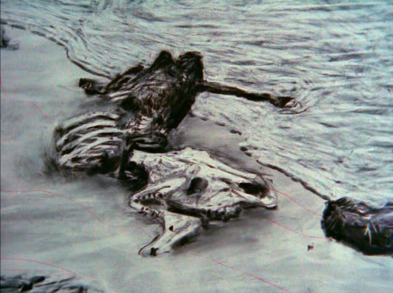 Расписание приливов и отливов (Tide Table), 2003