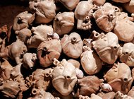 Нечеловеческие агенты захватили музеи, гостиницу и рынок Нижнего Новгорода