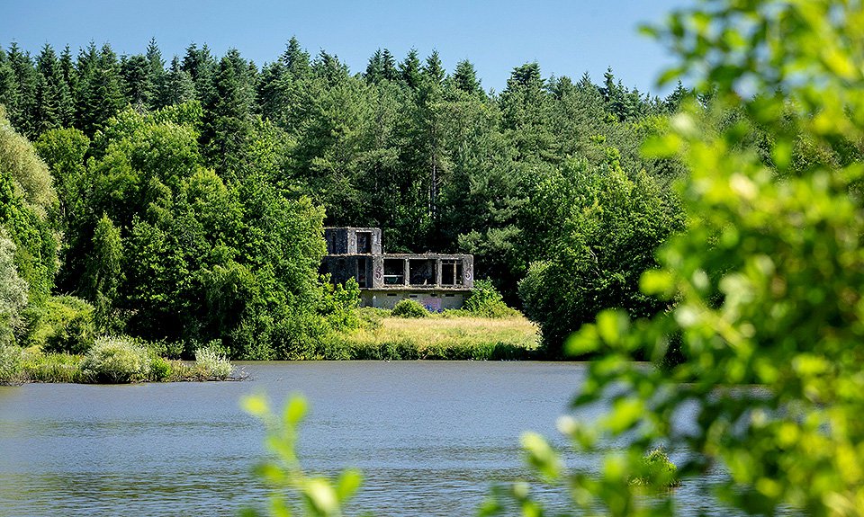 Здание расположено в самом центре национального парка «Нью-Форест». Фото: National Trust