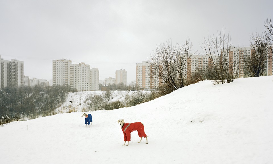 Александр Гронский. Без названия. Серия «Окраина». 2007-2008. Фото: МАММ