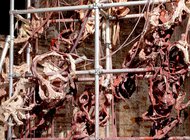 Кореянка Мире Ли создаст инсталляцию для Турбинного зала Тейт Модерн