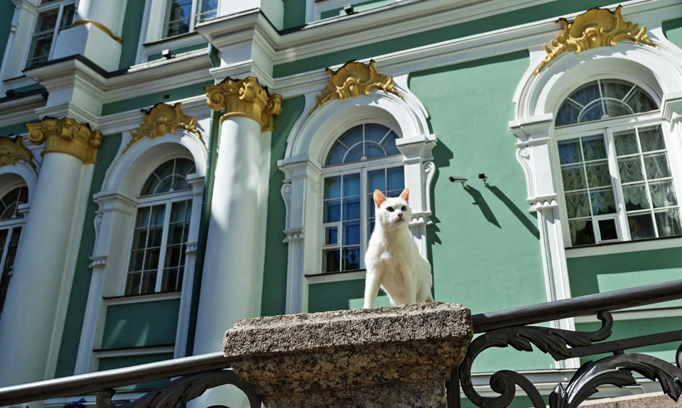 Государственный Эрмитаж. Фото: Государственный Эрмитаж