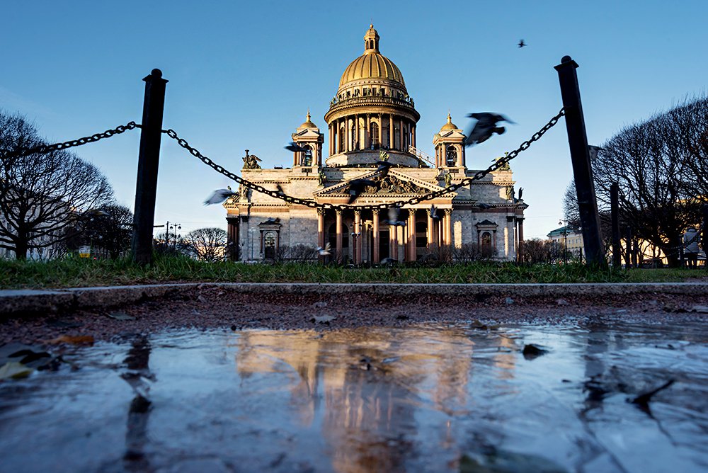 Вид на Исаакиевский собор. Фото: Александр Рощин/ТАСС