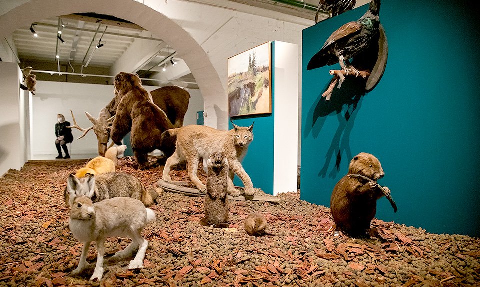 Недавняя выставка «Уберите чучело лисы» в Музее Москвы была посвящена феномену советского краеведения. Фото: Музей Москвы