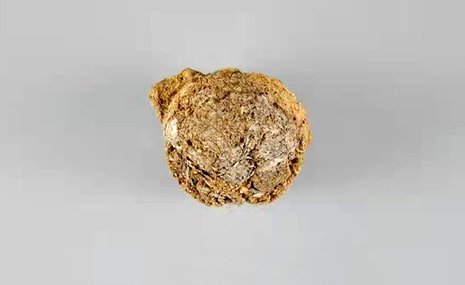 Археологи обнаружили в китайской провинции Шаньдун самый древний в мире чай