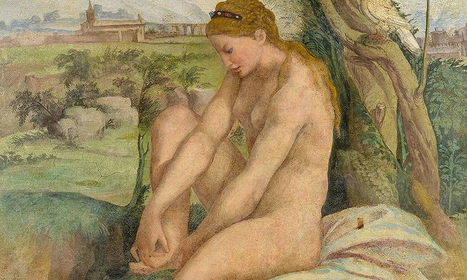 Рафаэль (1483-1520), мастерская. «Венера, вынимающая занозу». Ок. 1520 г. Фрагмент. Фото: Государственный Эрмитаж