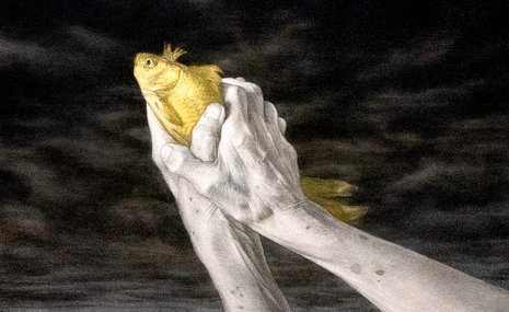 Передвижные «Сказки» добрались до Петербурга