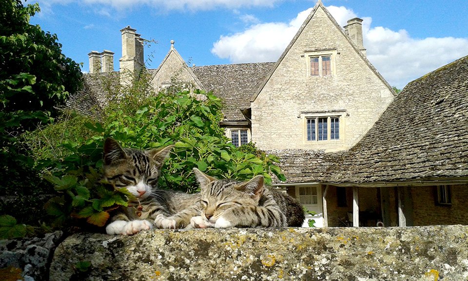 Усадьба Келмскотт. Фото: Society of Antiquaries of London/Kelmscott Manor