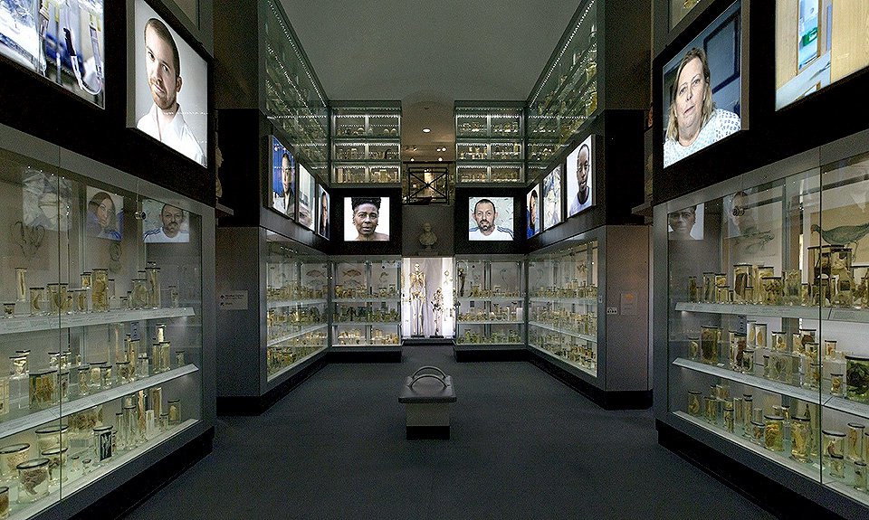 Экспозиция Лондонского музея хирургии. Фото: Лондонский музей хирургии