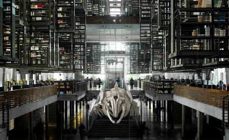 Отзвуки мира в тиши книгохранилищ: как строились библиотеки разных эпох