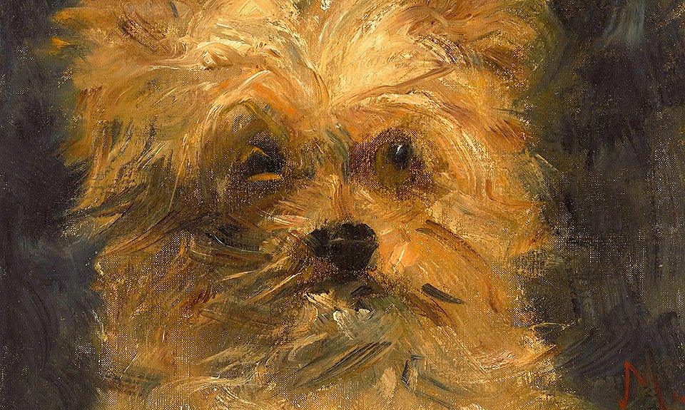 Эдуард Мане. «Голова собаки» («Боб»). Ок. 1876. Эстимейт $400–600 тыс. Фото: Christie's