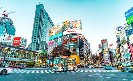 Что посмотреть в Токио: гид по музеям, галереям и арт-кварталам столицы Японии