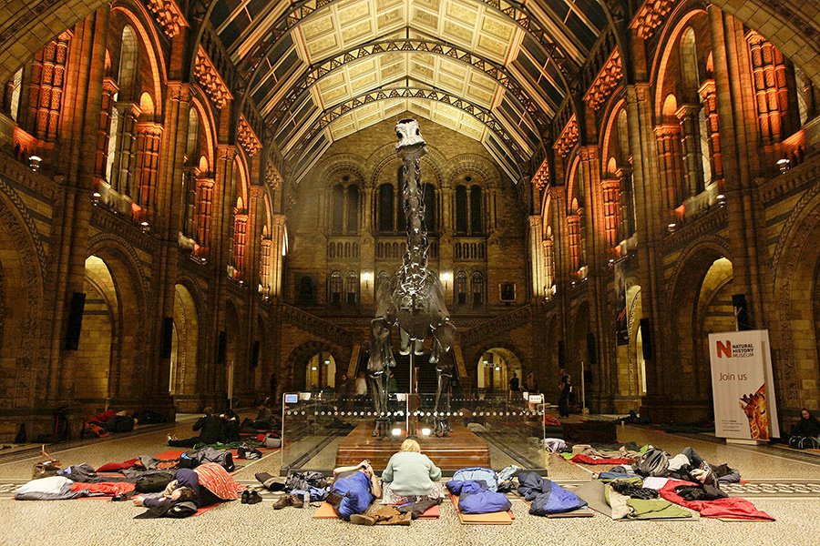 В Музее естественной истории в Лондоне. Фото: Anna Branthwaite/London News Pictures/ZUMAPRESS.com