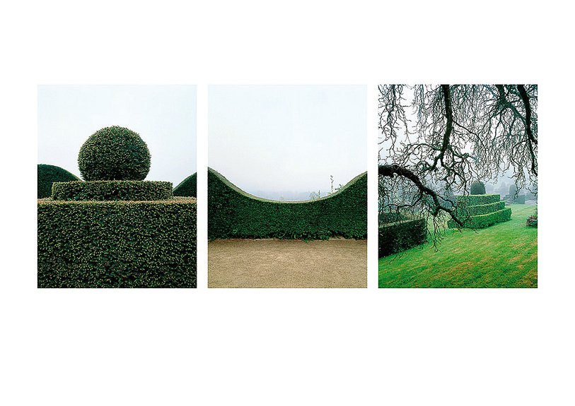 Ян Монель. «Сказка сада». Инсталляция из фотографий и голоса. Фото: © Yann Monel