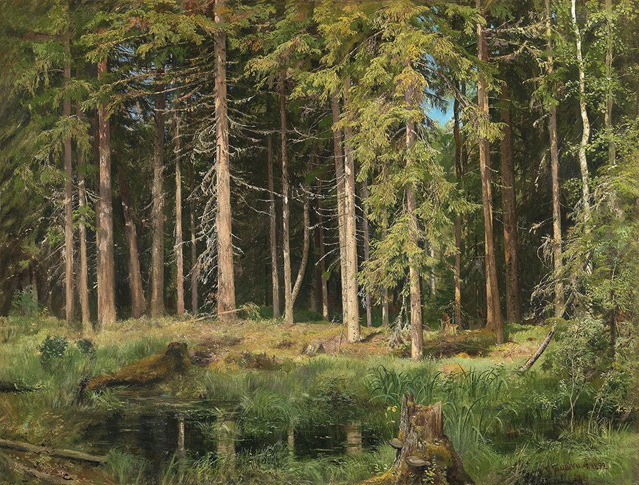 Иван Шишкин. «Сосновый лес». Фото: MacDougall’