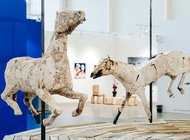 Cosmoscow расцвела в «Тимирязев Центре»