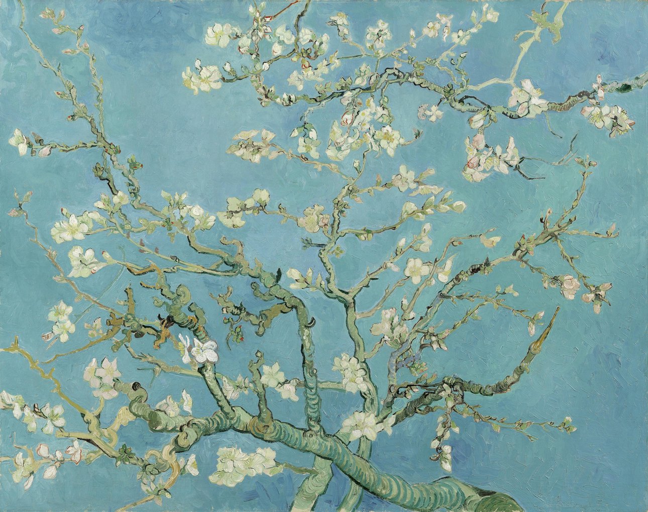 Винсент ван Гог. «Цветущий миндаль». 1890. Фото: Van Gogh Museum, Amsterdam (Vincent van Gogh Foundation)