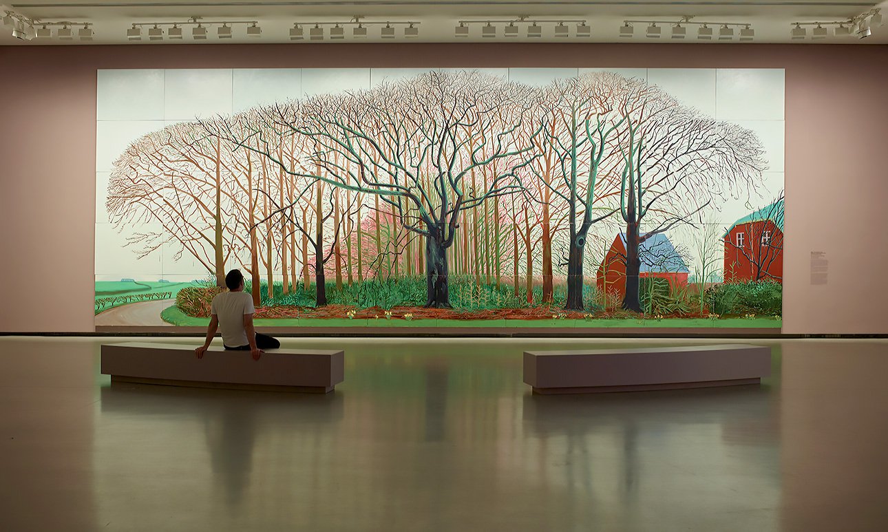 Выставка «Дэвид Хокни, 25» в Фонде Louis Vuitton.  Фото: David Hockney/Fondation Louis Vuitton/Marc Domage