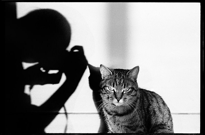 Жан-Кристоф Беше. «Автопортрет с котом». 1993