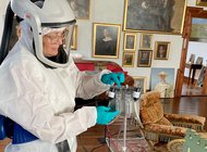Неприхотливая белая плесень облюбовала датские музеи