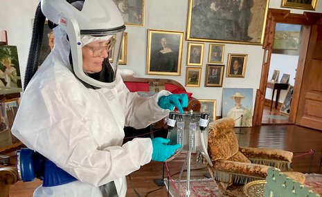 Неприхотливая белая плесень облюбовала датские музеи