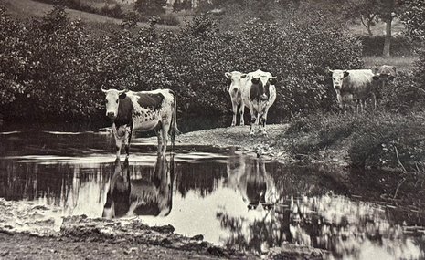 «Шедевры ранней фотографии» в ЦВК Béton: от фотоминиатюр до стереосъемки