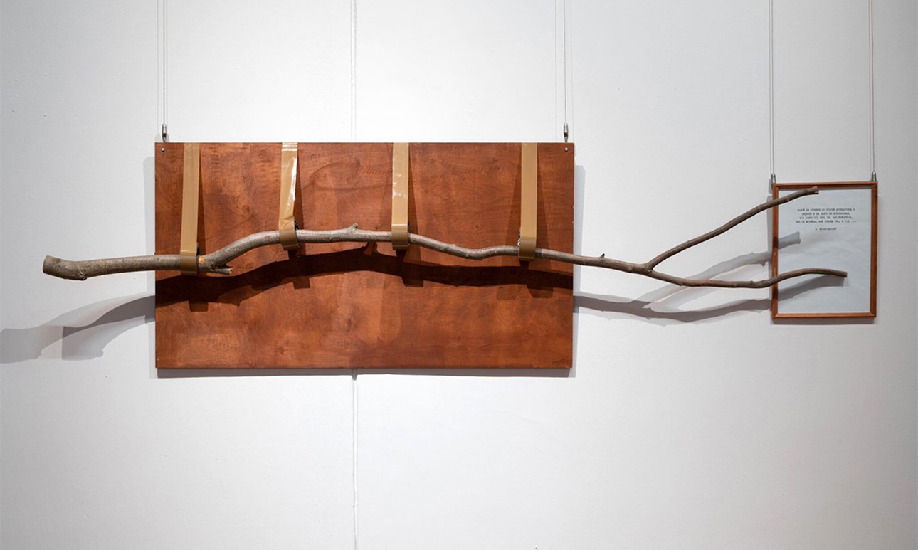 Андрей Монастырский. «Ветка». 1996.  Фото: Государственная Третьяковская галерея