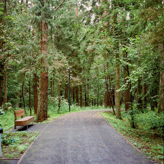 Прогулочные дорожки в Масловском лесопарке.  Фото: «Галс-Девелопмент»