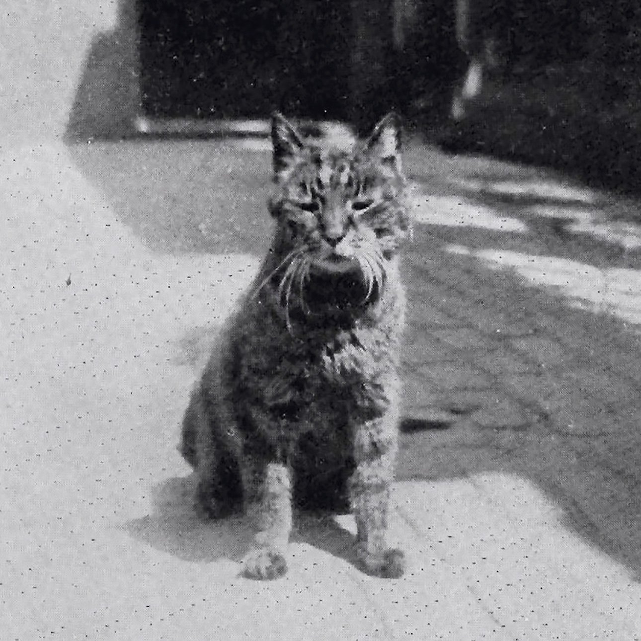 Майк (1920-1929), верный слуга египтолога Уоллиса Баджа.  Фото: The Trustees of the British