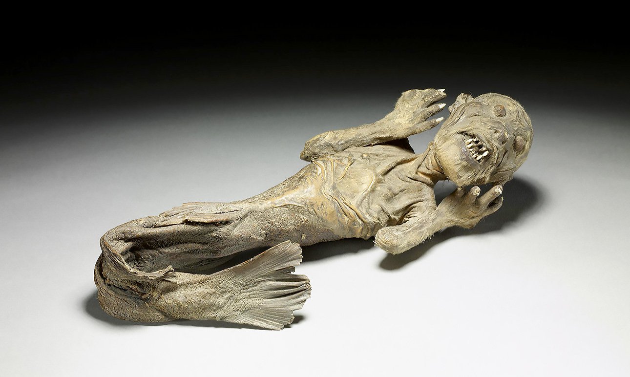 При более внимательном рассмотрении можно увидеть, что «русалка» состоит из кусочков рыбы и обезьяны. Фото: The Trustees of the British