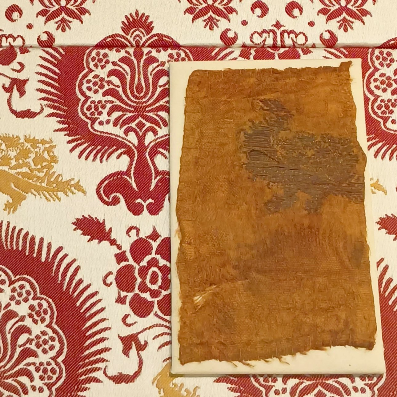 Лоскутки взяли в качестве образцов более века назад; большая часть из них осталась в Норидже, но 16 фрагментов передали в дар Музею Виктории и Альберта в Лондоне. Фото: Helen Stokes/Norwich Castle Museum & Art Gallery