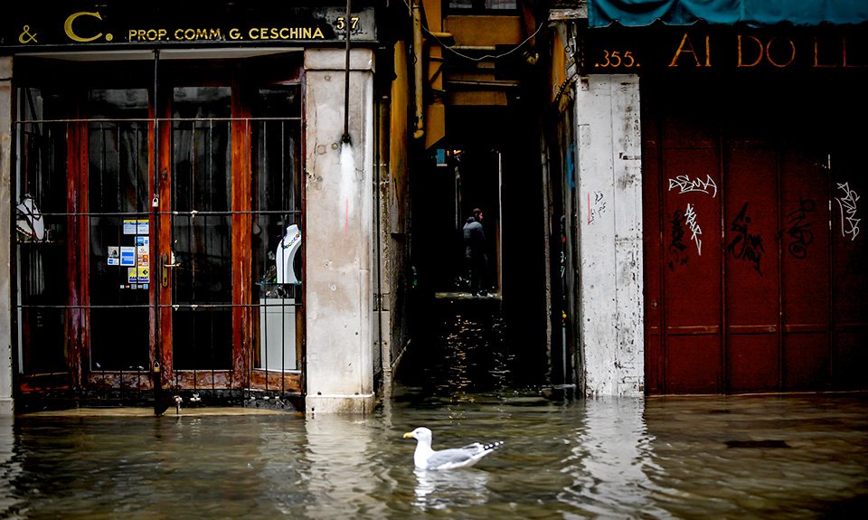 Наводнение в Венеции в 2019 году. Фото: Claudio Furlan/LaPresse via ZUMA Press/ТАСС