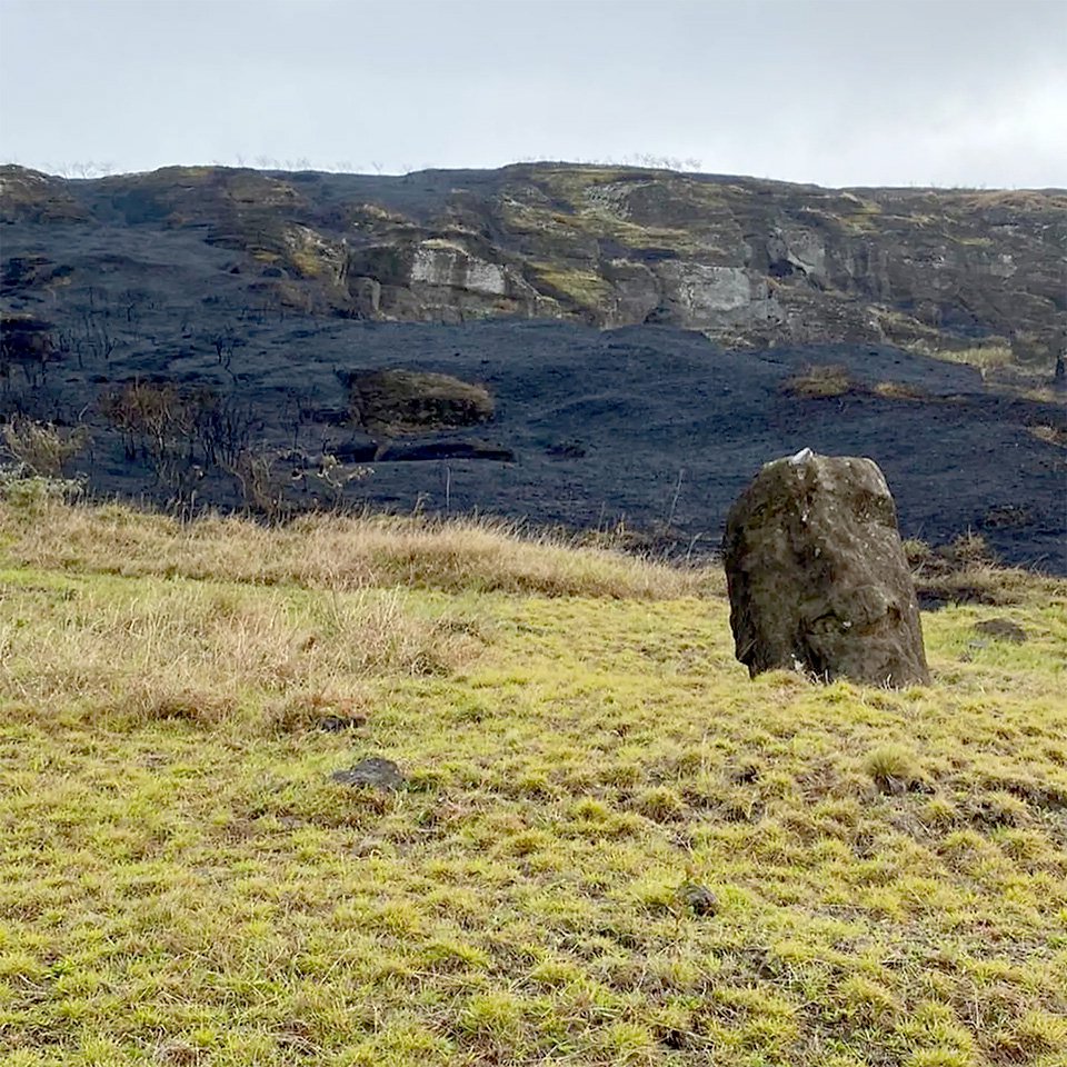 Одна из поврежденных статуй. Фото: Courtesy El Consejo de Monumentos Nacionales