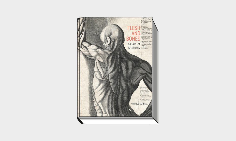 Flesh and Bones: The Art of Anatomy / Monique Kornell, with contributions by Thisbe Gensler, Naoko Takahatake and Erin Travers. Getty Research Institute. 249 с.: 163 цв. ил. $50, £40. На английском языке