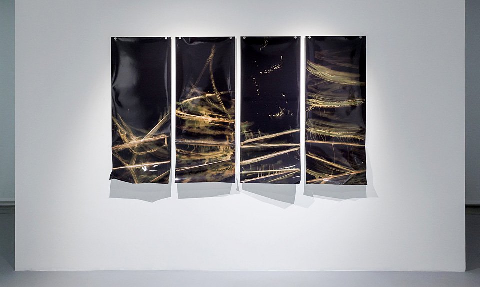 Выставка Александра Егорова «Лучи солнца в листве айвового дерева» в Галерее Ruarts. Фото: Галерея Ruarts