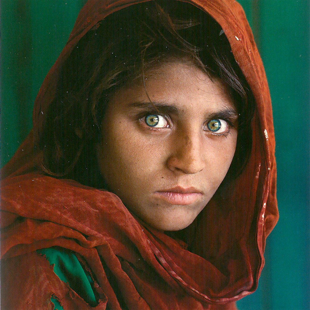 Стив Маккарри. «Шарбат Гула. Афганская девочка. Лагерь беженцев Насир-Баг недалеко от Пешавара». Фото: Стив МакКарри/Государственный Эрмитаж