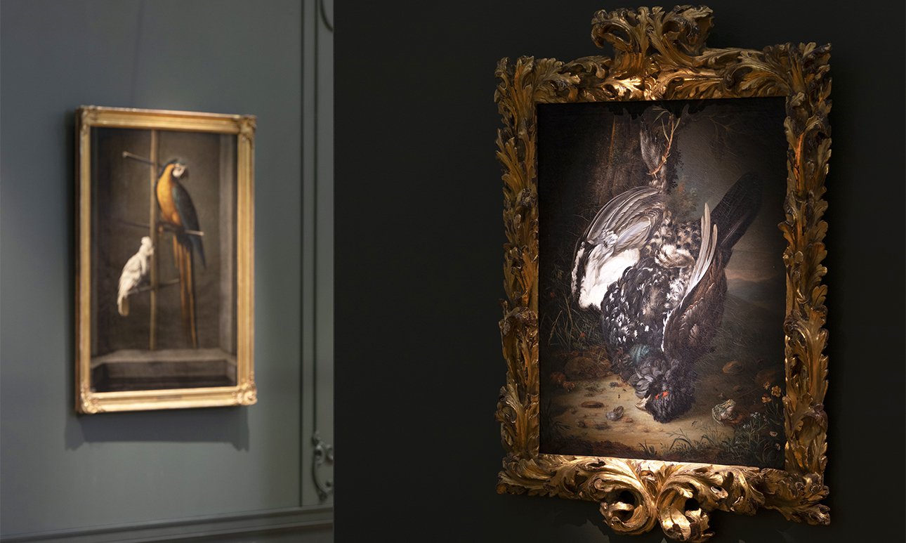 Выставка «Класс зверей и птиц, цветов и плодов. Академические классы XVIII века» в Музее Академии художеств.  Фото: Музей Академии художеств