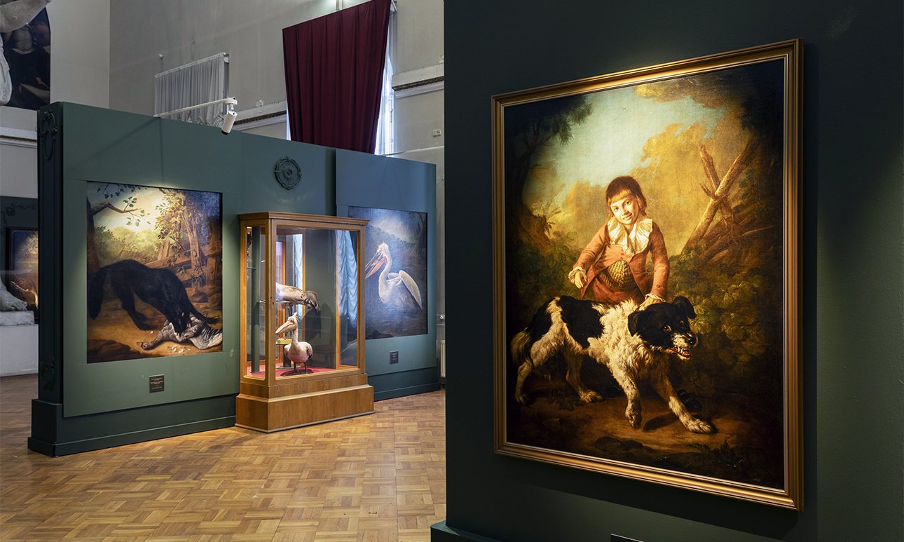 Выставка «Класс зверей и птиц, цветов и плодов. Академические классы XVIII века» в Музее Академии художеств.  Фото: Музей Академии художеств