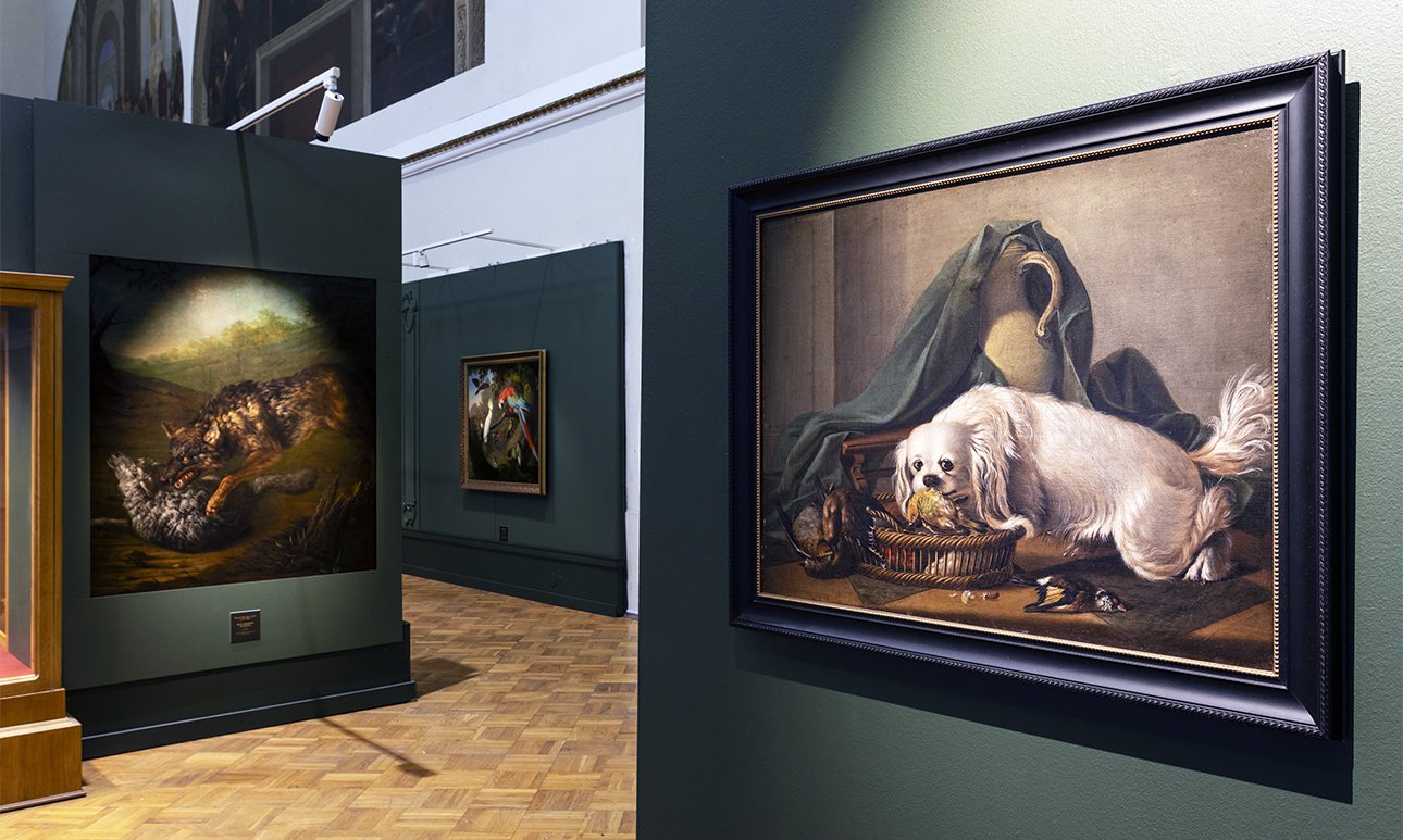 Выставка «Класс зверей и птиц, цветов и плодов. Академические классы XVIII века» в Музее Академии художеств.  Фото: Музей Академии художеств